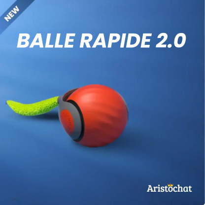 BALLE RAPIDE 2.0 - Aristochat