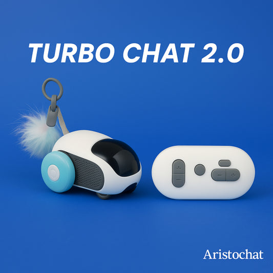 TURBO CHAT 2.0