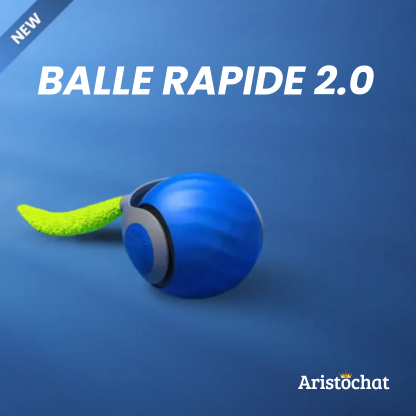 BALLE RAPIDE 2.0 - Aristochat