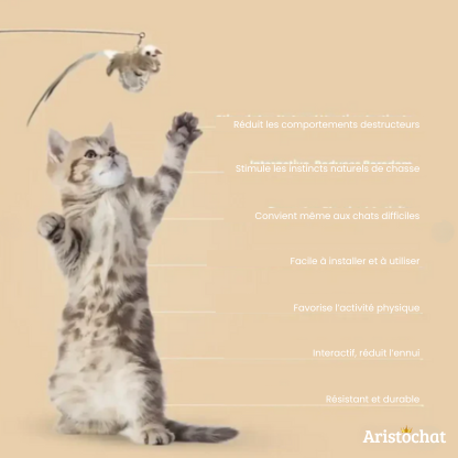 KIT DU CHASSEUR - Aristochat