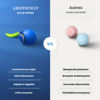 BALLE RAPIDE 2.0 - Aristochat