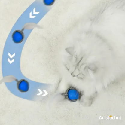 BALLE RAPIDE 2.0 - Aristochat