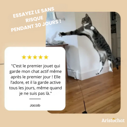 KIT DU CHASSEUR - Aristochat