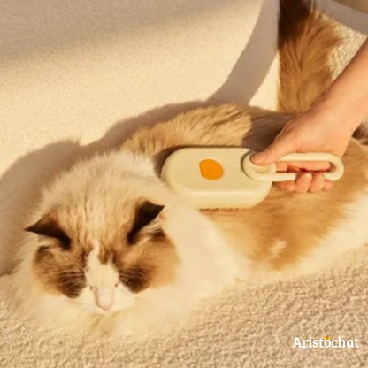 BROSSE DOUCEUR - Aristochat