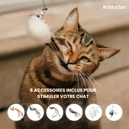KIT DU CHASSEUR - Aristochat