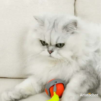 BALLE RAPIDE 2.0 - Aristochat