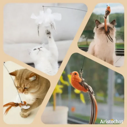 KIT DU CHASSEUR - Aristochat